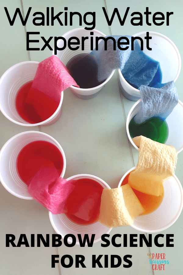 Walking Water Experiment: Rainbow Science for Kids