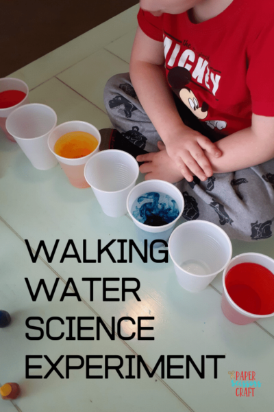 Walking Water Experiment: Rainbow Science for Kids