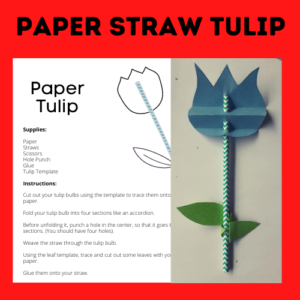 Paper Straw Tulip