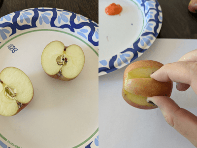 Apple cut in half on a paper plate, plus an example of making a handle in the apple for apple stamping.