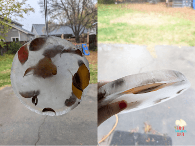 Ice suncatcher hanging up outside.