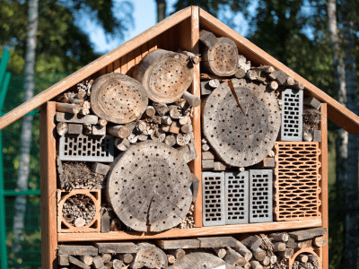 Example of a bug hotel.