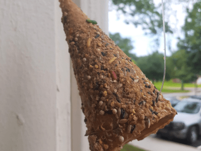 Waffle cone bird feeder.