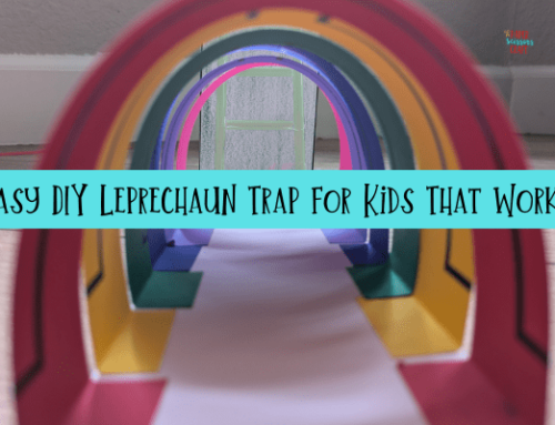 Easy DIY Leprechaun Trap for Kids That Works